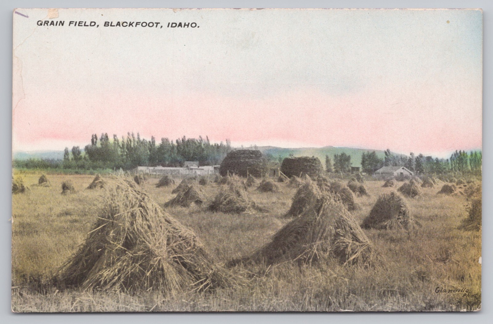 c.1909 Blackfoot Idaho Grain Field Granville Photo Hand Colored Postcard A7
