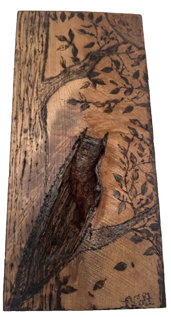 Rare Vtg Folk Art Hand Carved Wood OWL Crescent Moon Panel Mural Wall Plaque 