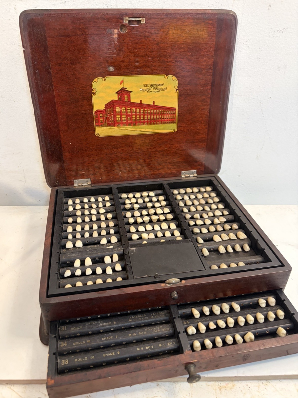 VTG 1930s Dentists Supply Co NY  Dental Tooth Drawer Cabinet Salesman Sample 11”