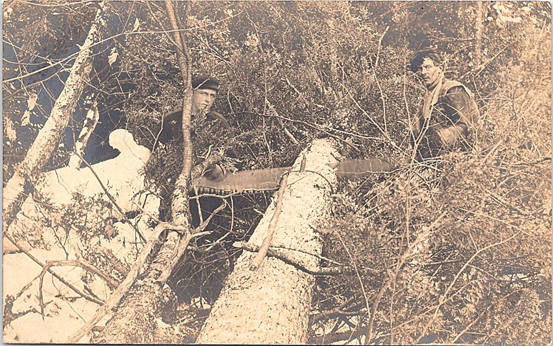RPPC Lumber Logging Scene Lumberjacks 2-Handled Saw early 1900s Occupational