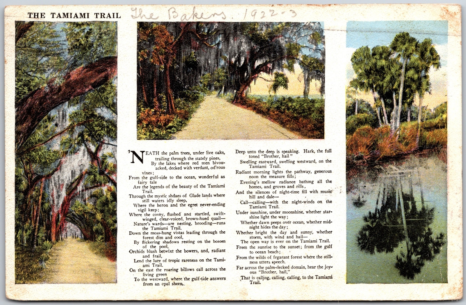 1920's The Tamiami Trail Florida FL Pathway Through Oak Trees Posted Postcard
