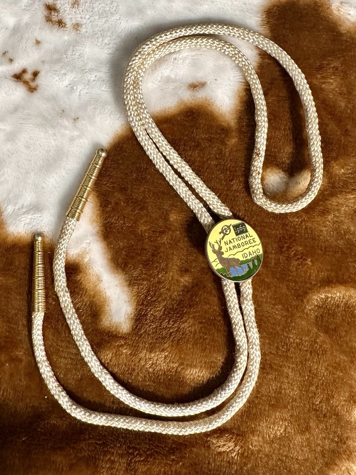 Vintage 1969 Boy Scouts BSA National Jamboree Idaho Farragut State Park Bolo Tie
