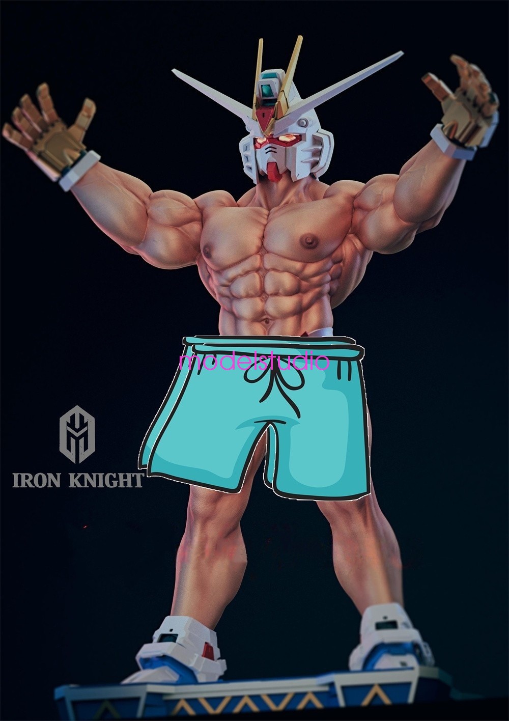 Freedom Fighter Model Pre-order IRON KNIGHT Studio 1/6 Scale EX Ver Replaceable
