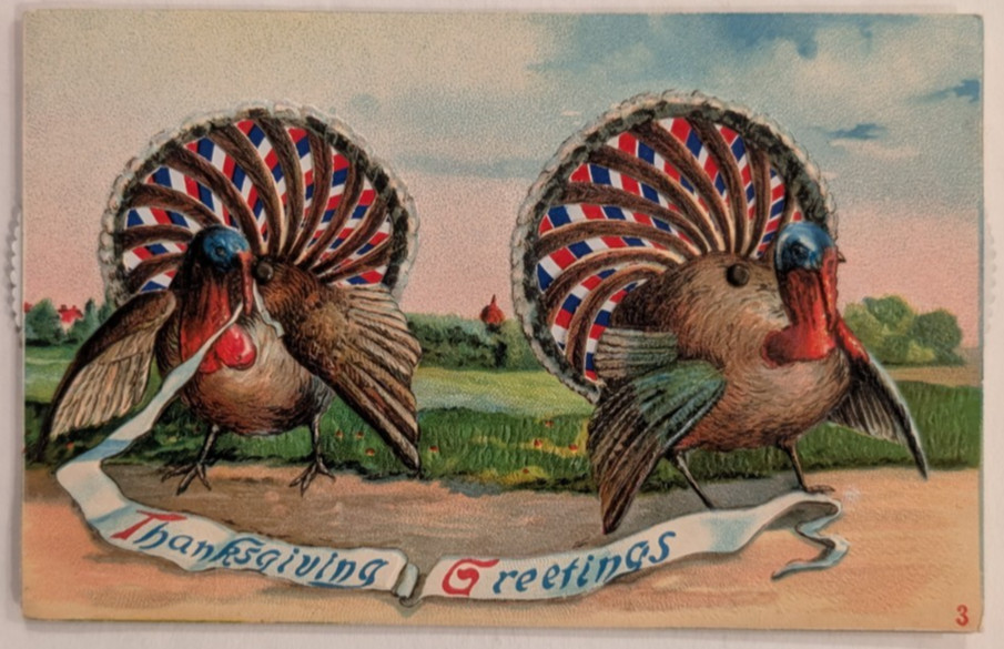 Kaleidoscope~Mechanical Double Turkeys~ Thanksgiving  Spinner Novelty Postcard-