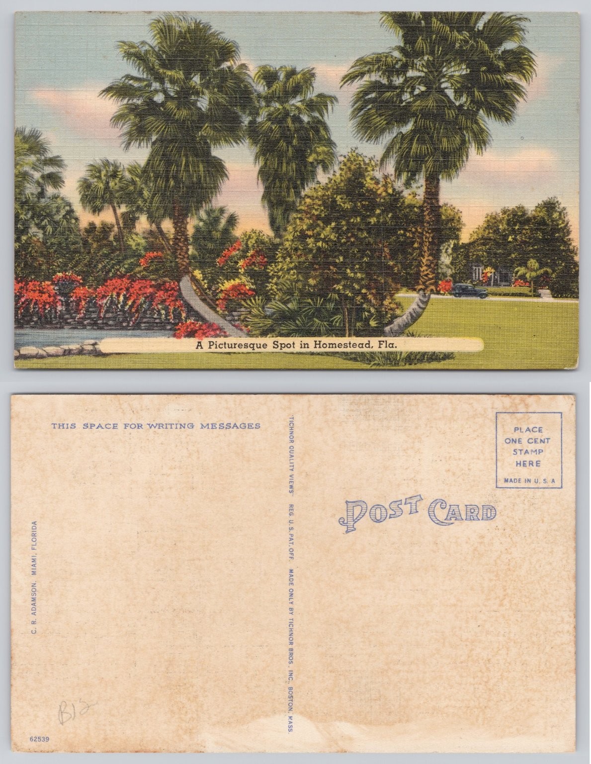 Homestead FL Picturesque Spot Linen Postcard Tichnor Bros Vintage Florida