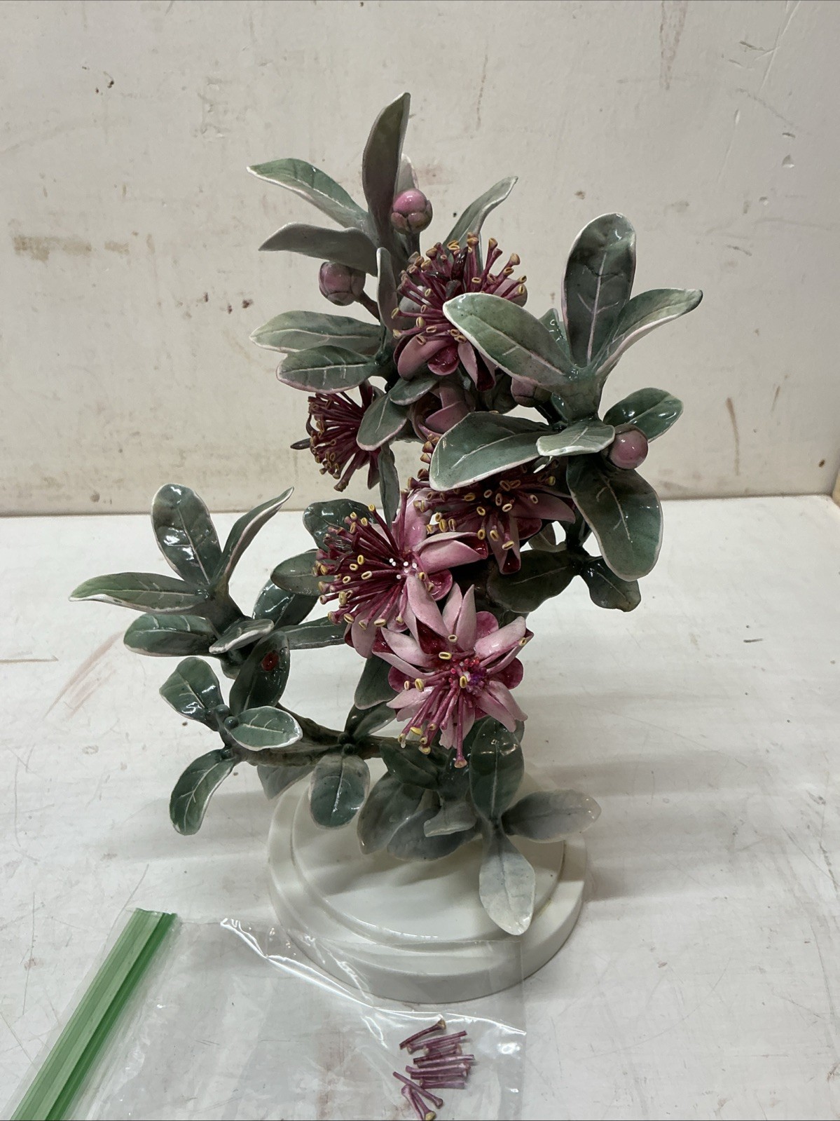 1950 Royal Worcester Dorothy Doughty Fine Bone China Mexican Feijoa & Ladybirds