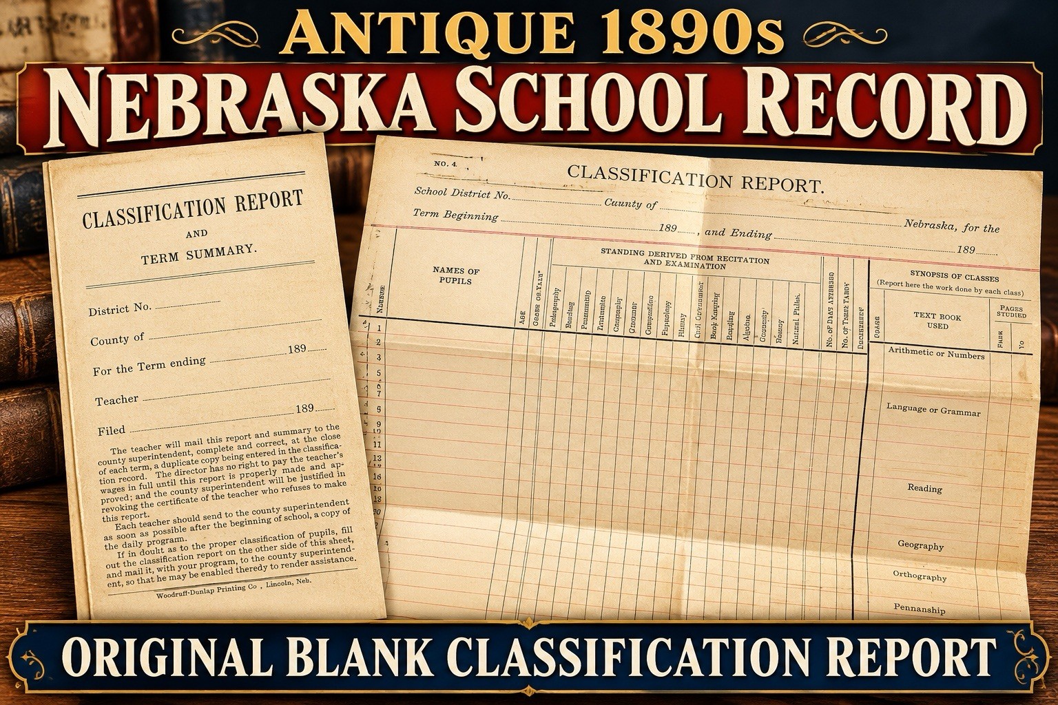VTG Antique 1890s Nebraska School Classification Report Ephemera Blank Document