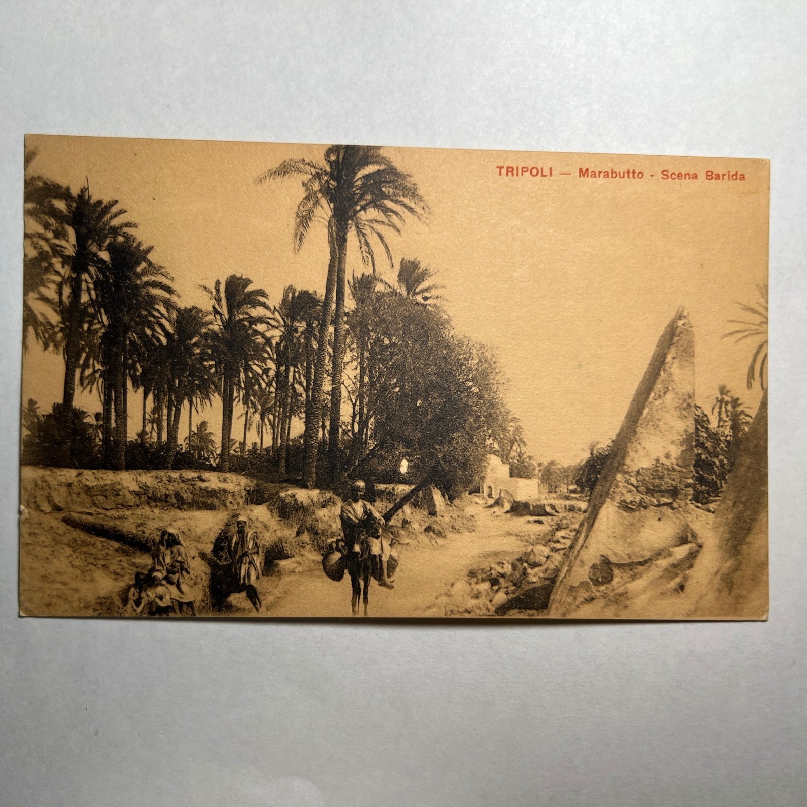 1920s VTG Postcard Scrocchi Tripoli Libya Marabutto Scena Barida Photolithograph