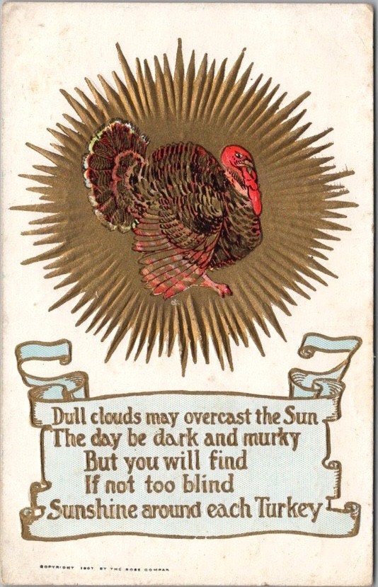 c1910s THANKSGIVING Postcard Turkey 