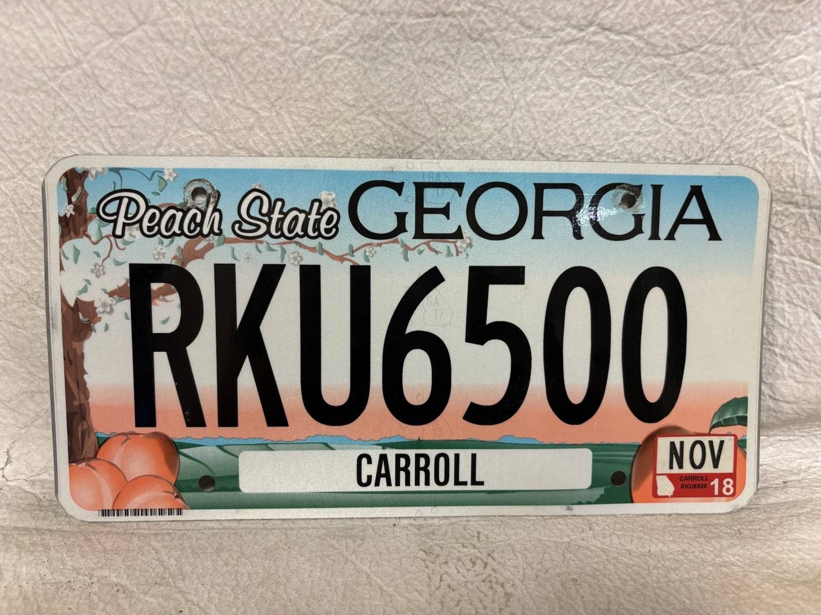 2018 Georgia License Plate ~ Carroll County