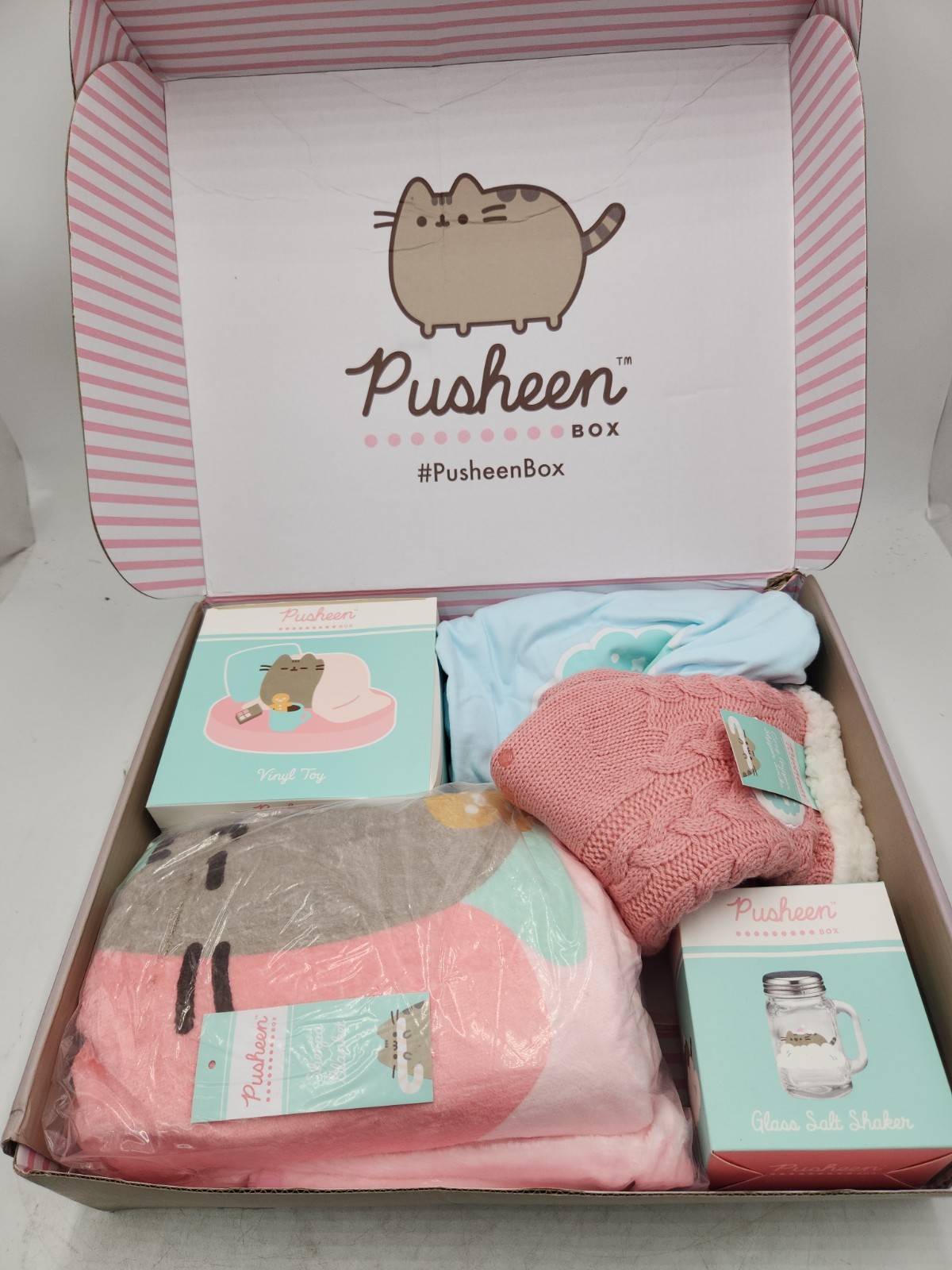NEW Pusheen Winter 2021 Subscription Box - Missing Popcorn Bucket & Plush L