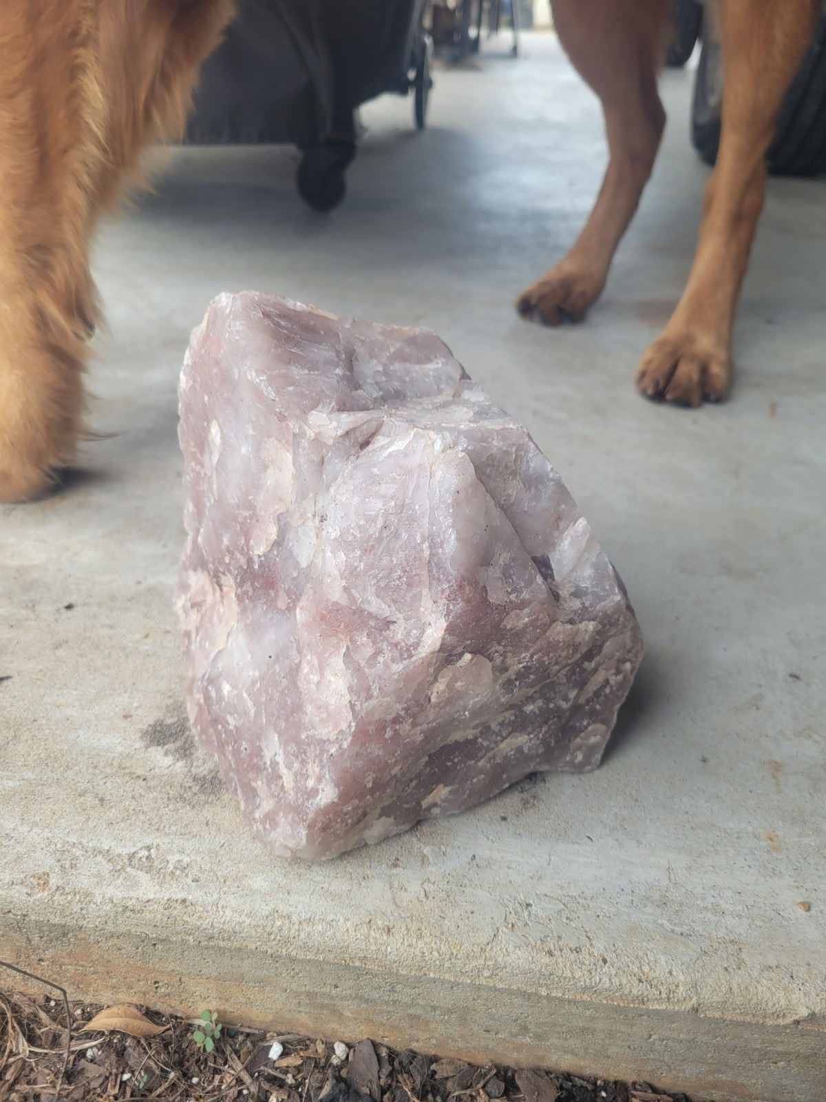 LARGE Pink Crystal Rose Quartz
