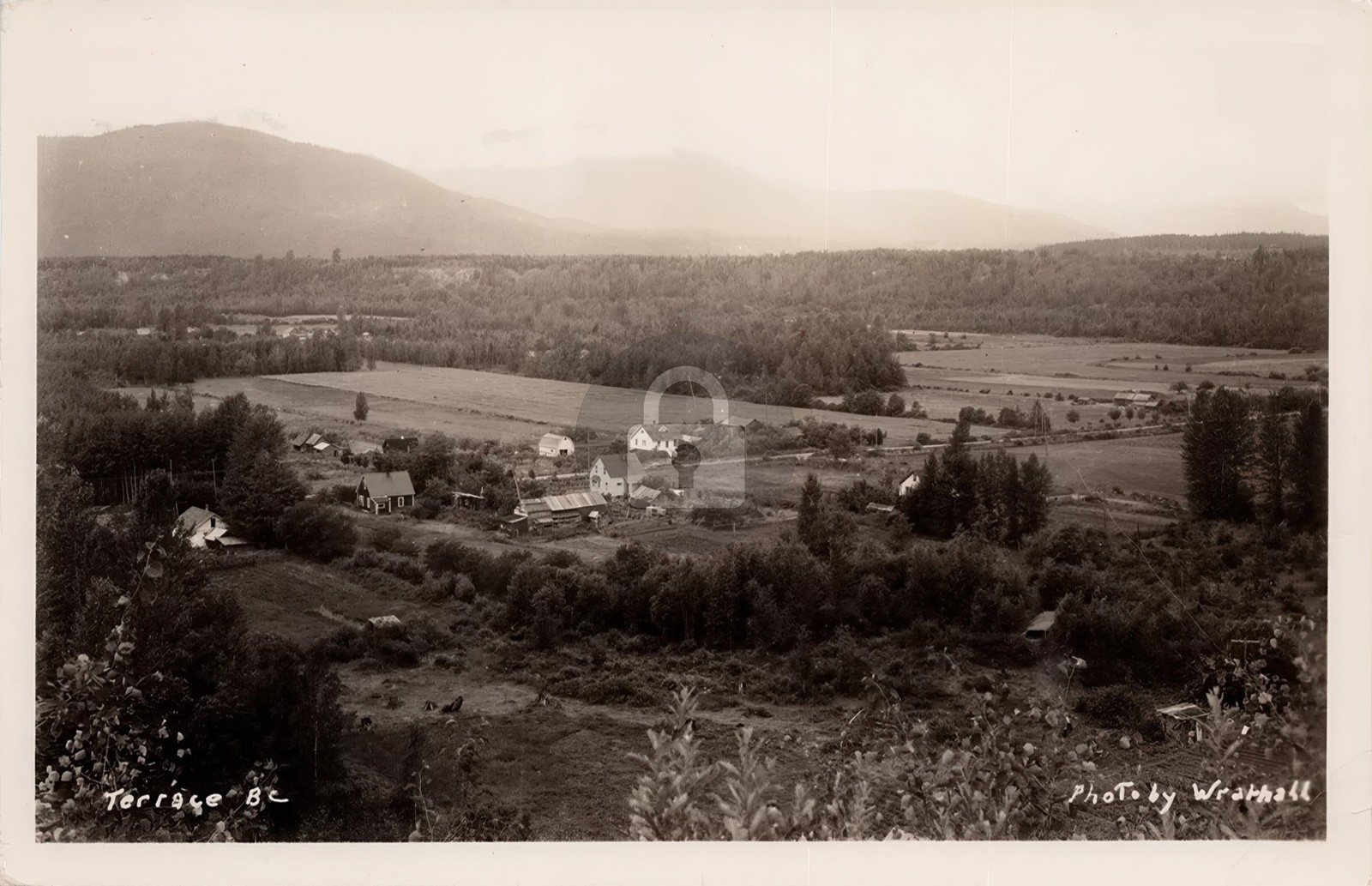 Terrace BC British Columbia Canada Wrathall RPPC Photo Postcard COPY