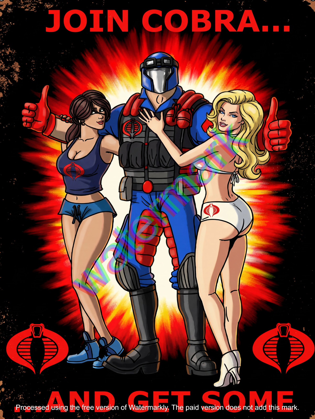 Join Cobra and Get Some  Metal Sign 9