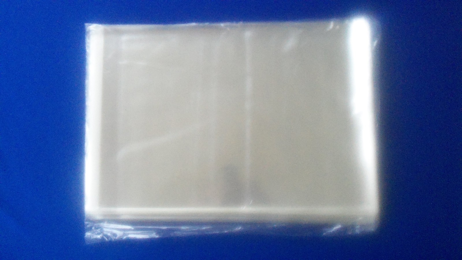 200  Resealable Book Bags 10 x 13  Archival Storage Acid Free