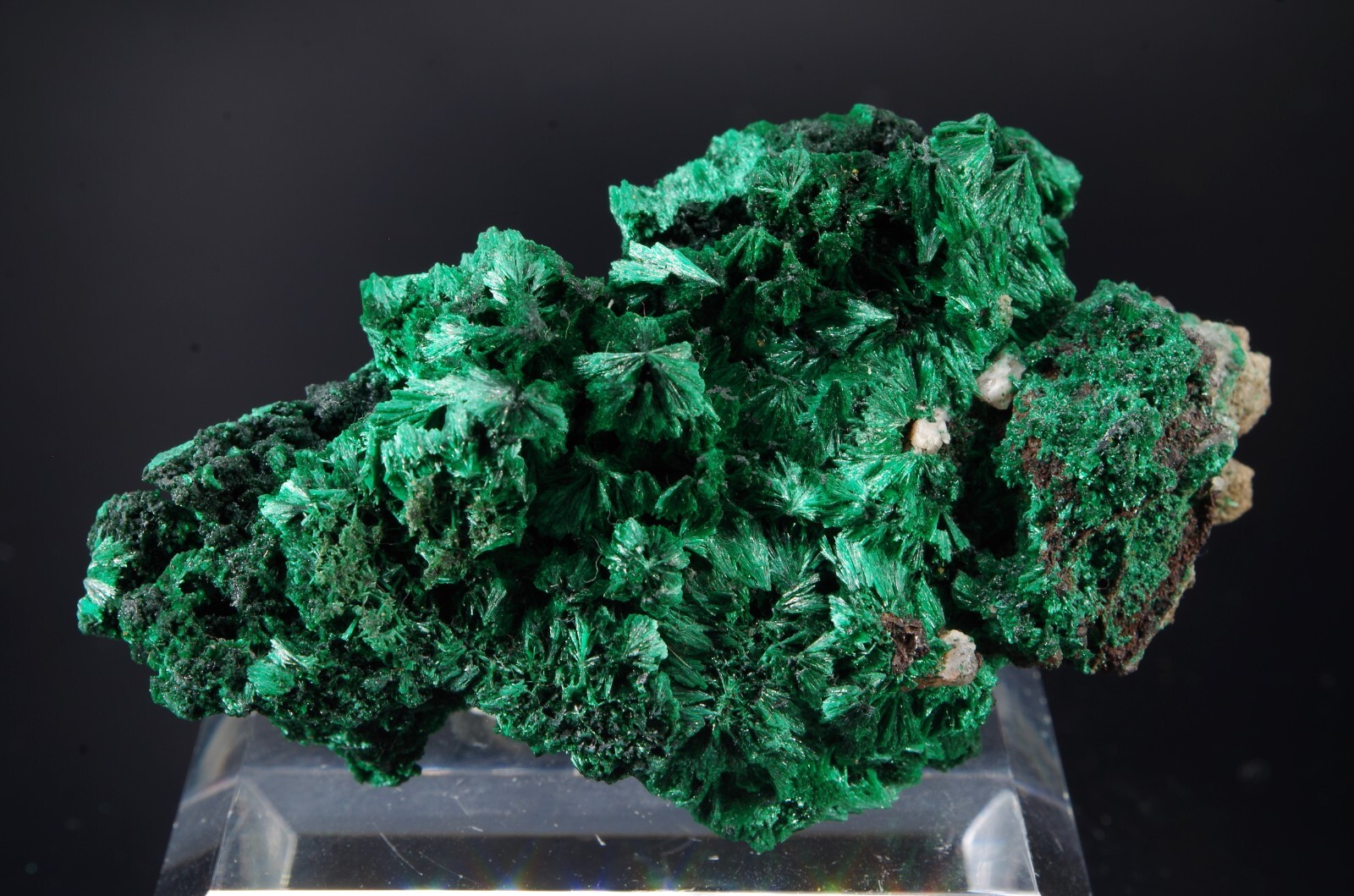 Malachite fibrous / star mine Katanga, CONGO 7.5x4x3.2cm 75g