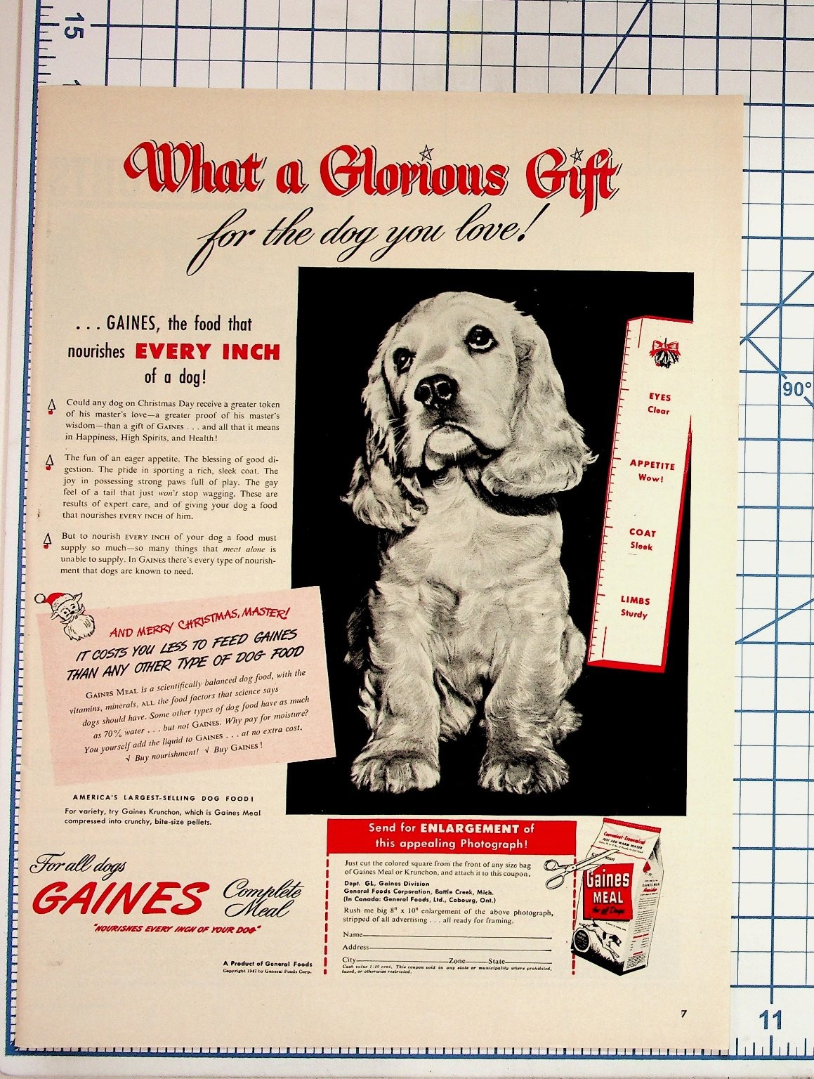 Vintage 1947 GAINES Dog Food Ad Cocker Spaniel Puppy Christmas Magazine Ephemera
