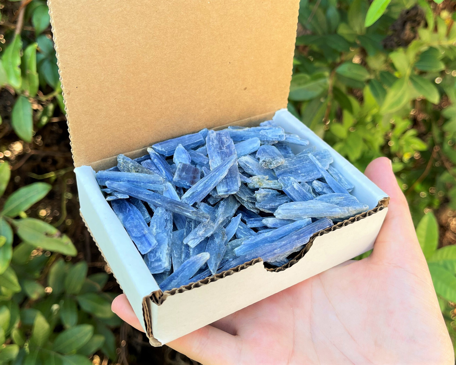 Natural Blue Kyanite Blades Gift Box Lot - 'A' Grade Kyanite Crystals 1/2 lb Lot