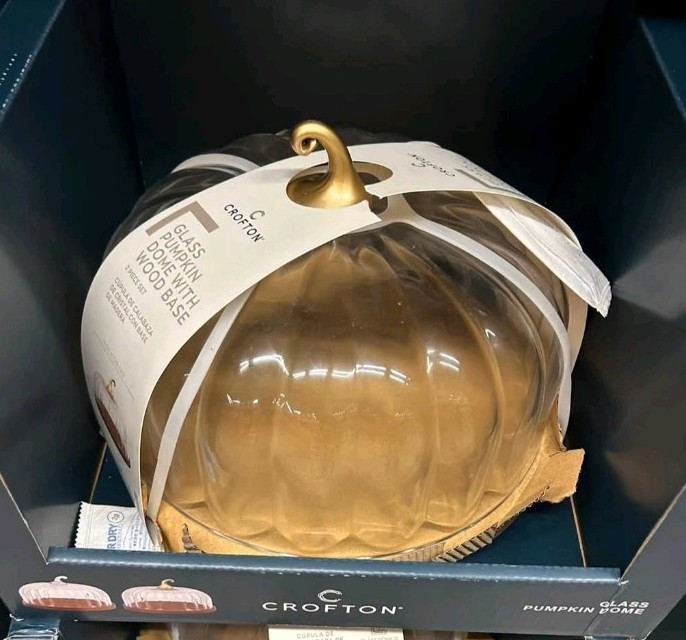 Aldi Crofton Large Pumpkin Dome Halloween Fall With Wood Base Viral