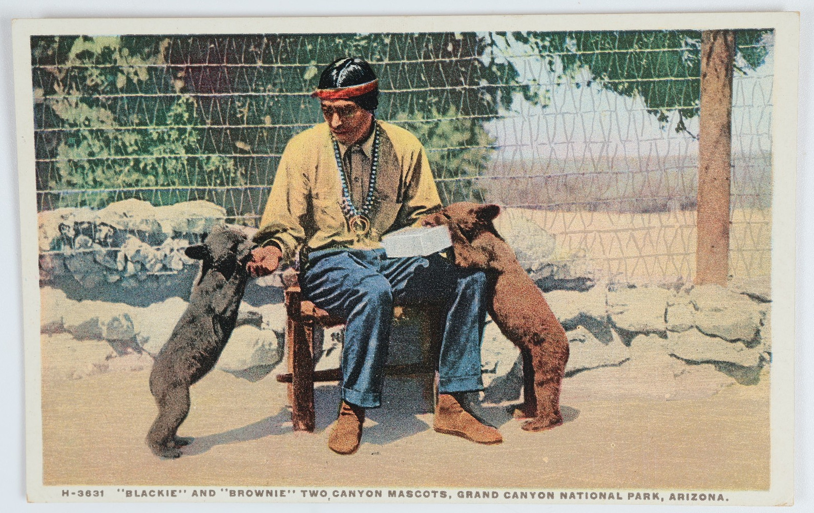 Vintage Grand Canyon AZ Arizona Native American Bear Cubs Mascots Postcard