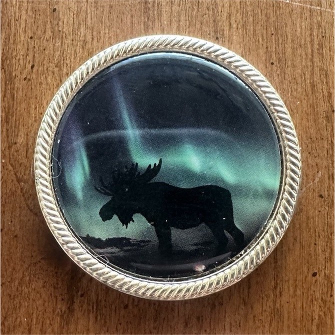 IBEW 1st District LU 529 coin