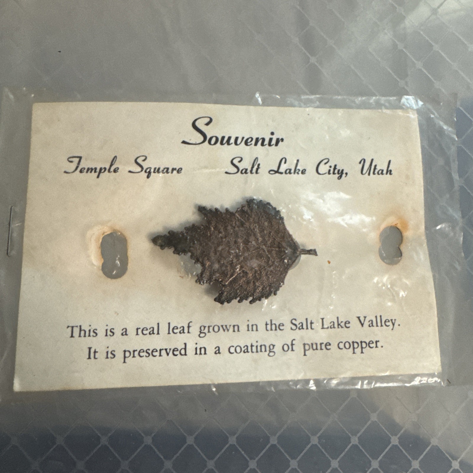Vintage Temple Square, Salt Lake City, UT real leaf copper Pin Brigham Young