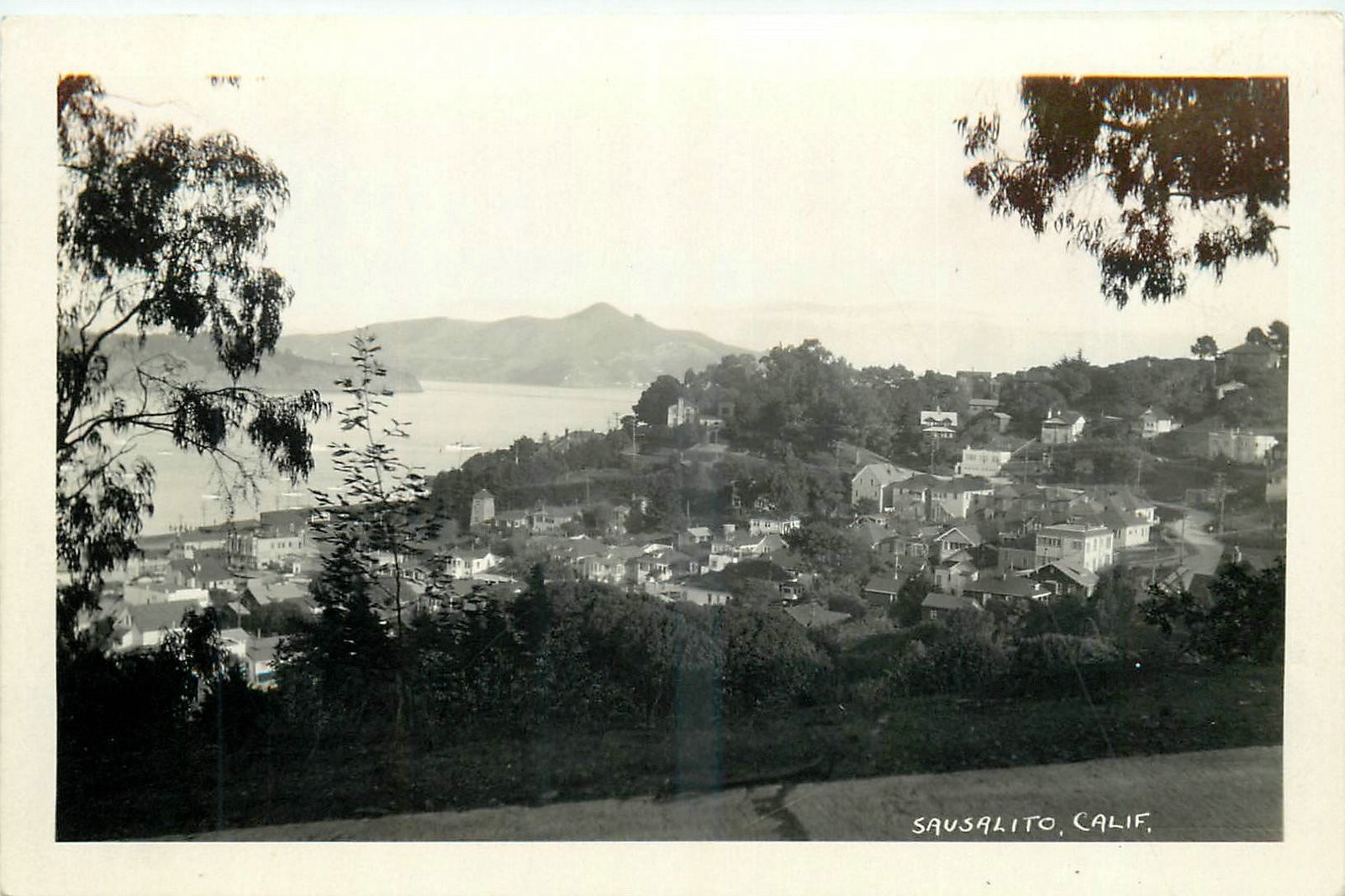 1920s Sausalito California Marlin Birdseye View RPPC Postcard 26-4037