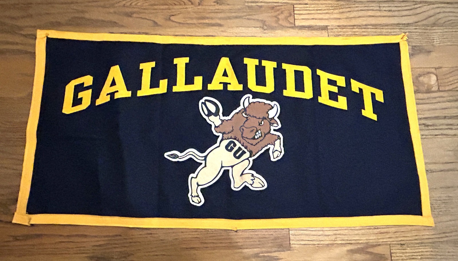 NICE Gallaudet University large rectangle banner, school mascot, 36