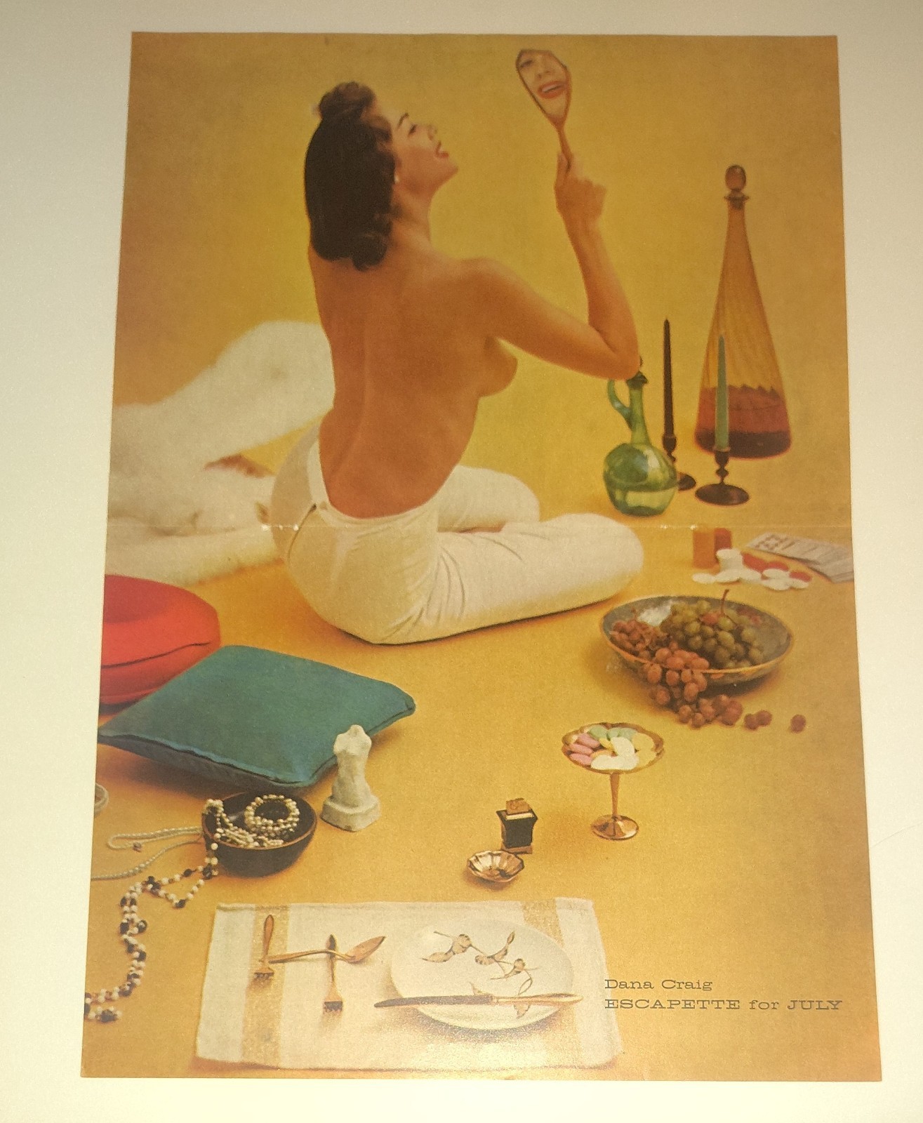 Vintage 1950s Dana Craig Pinup Photo Ralston Cartoon Sex In Suburbia Layout Set