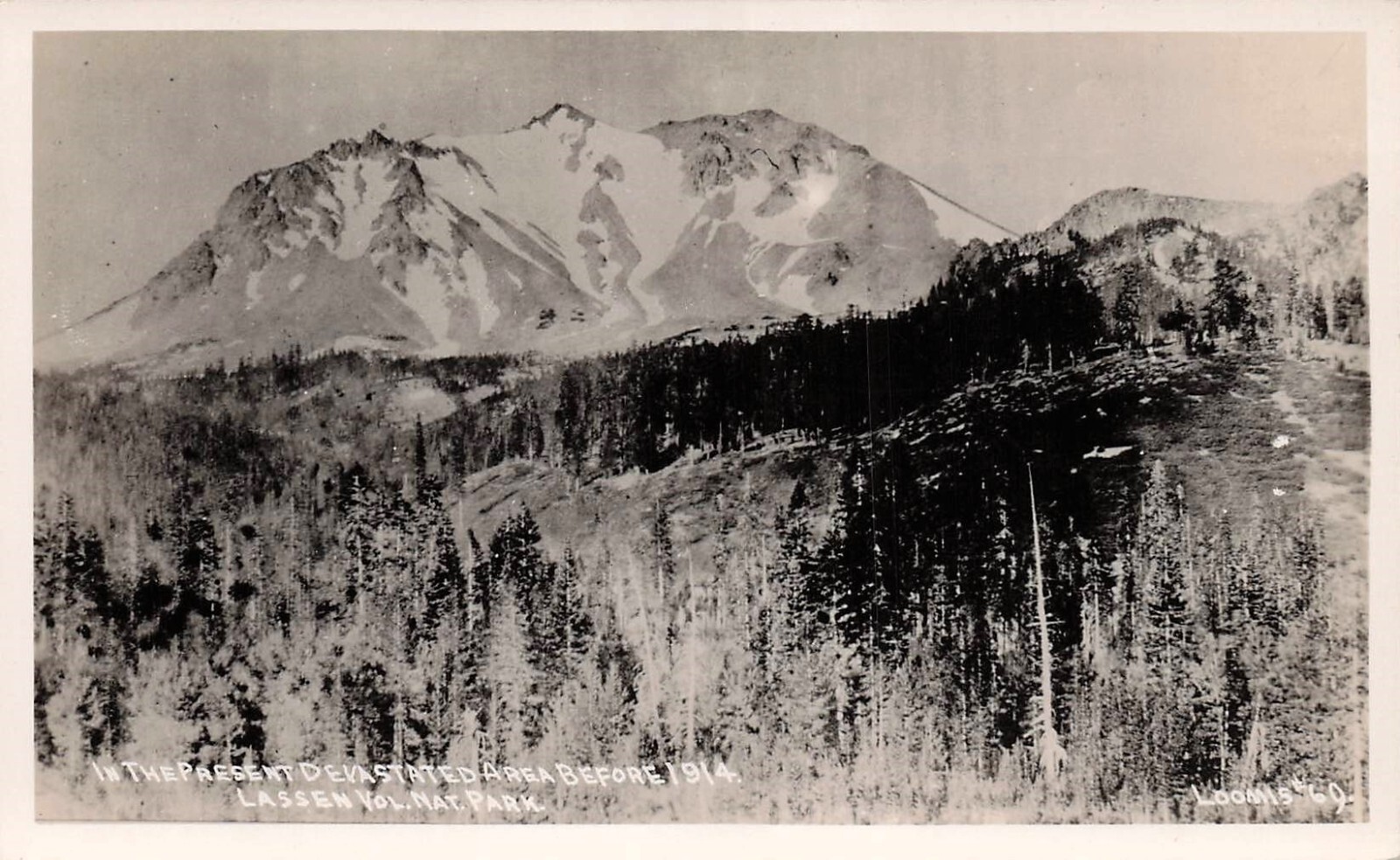 RPPC Lassen Peak Pre Volcano Eruption 1915 Mud Flood Disaster Photo Postcard F19