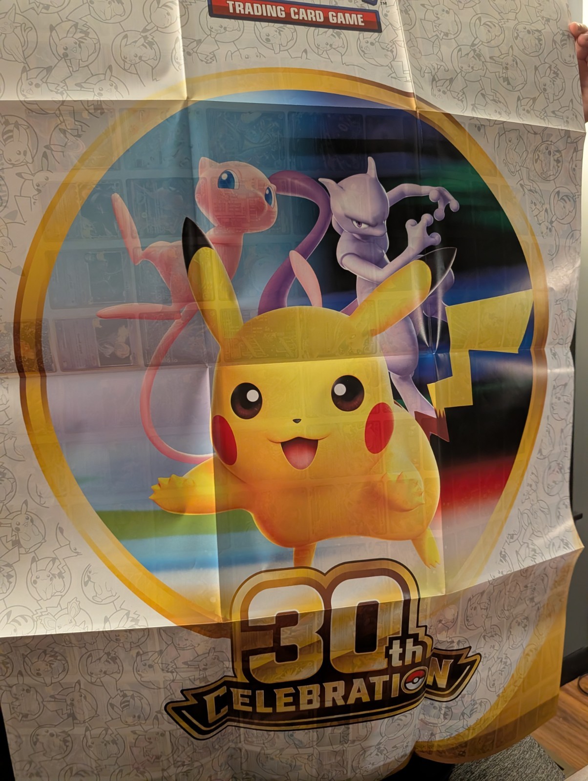 Pokémon 30th Celebration: Poster Only