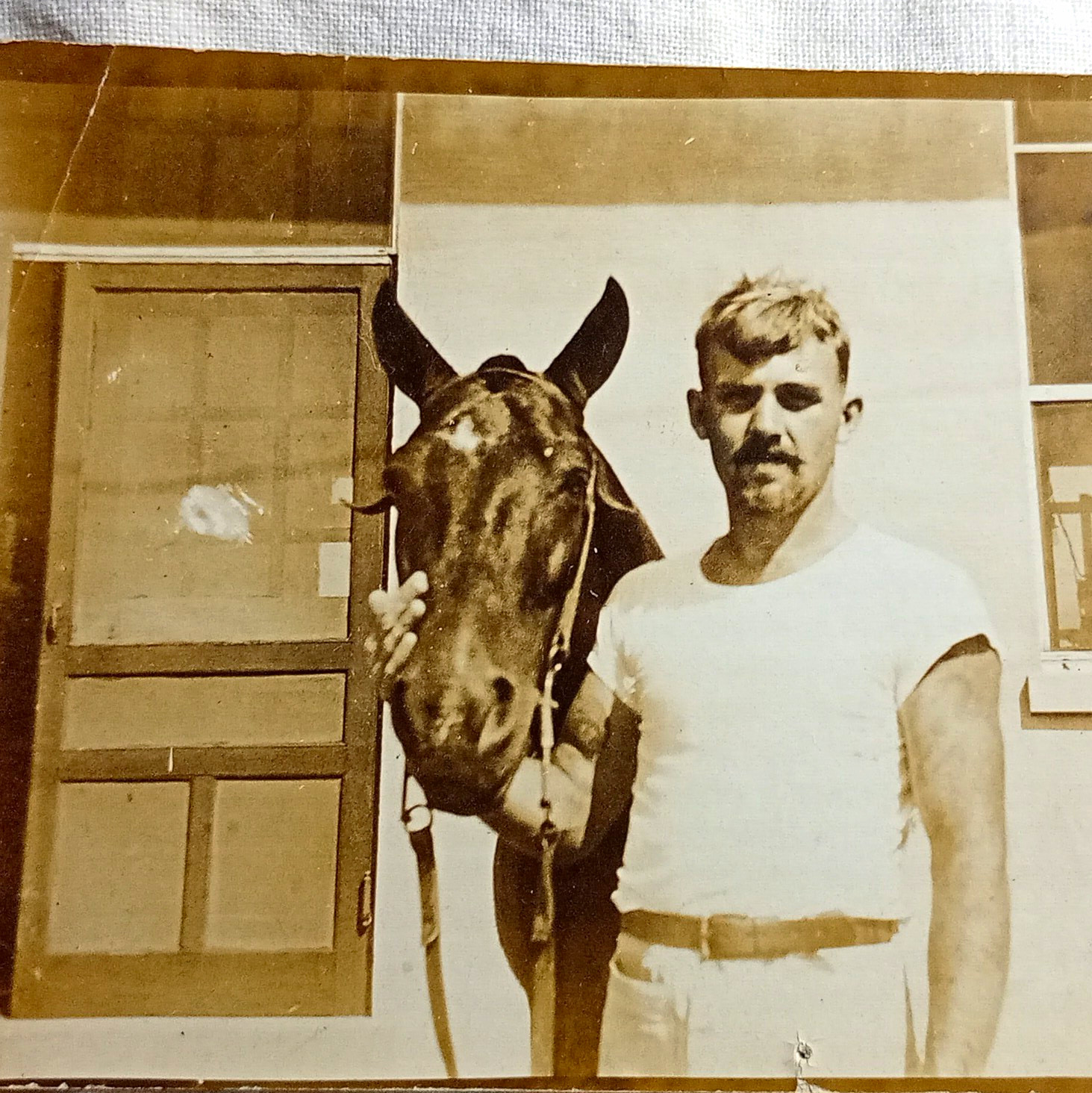 Vintage RPPC Real Photo Postcard Man Holding Horse Head Divided Back Unposted