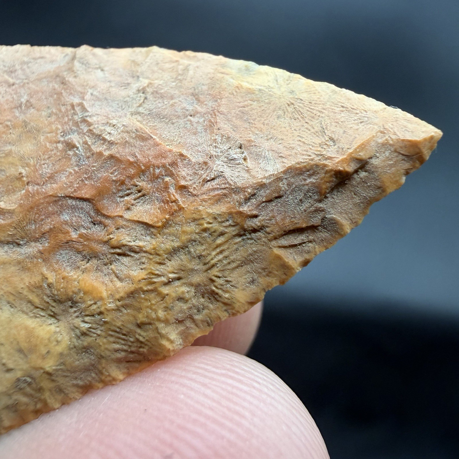 Indian Arrowhead Central Florida Very Fine Collector Grade 1.95”