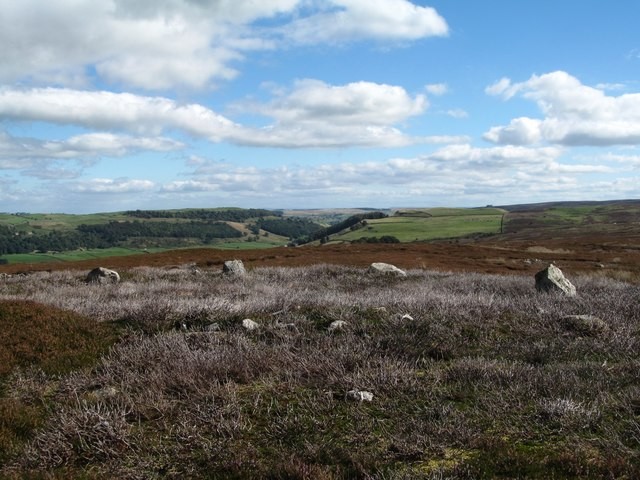 Photo A3 Possible Ring cairn or hut circle at Harker Mires Grinton This  c2016