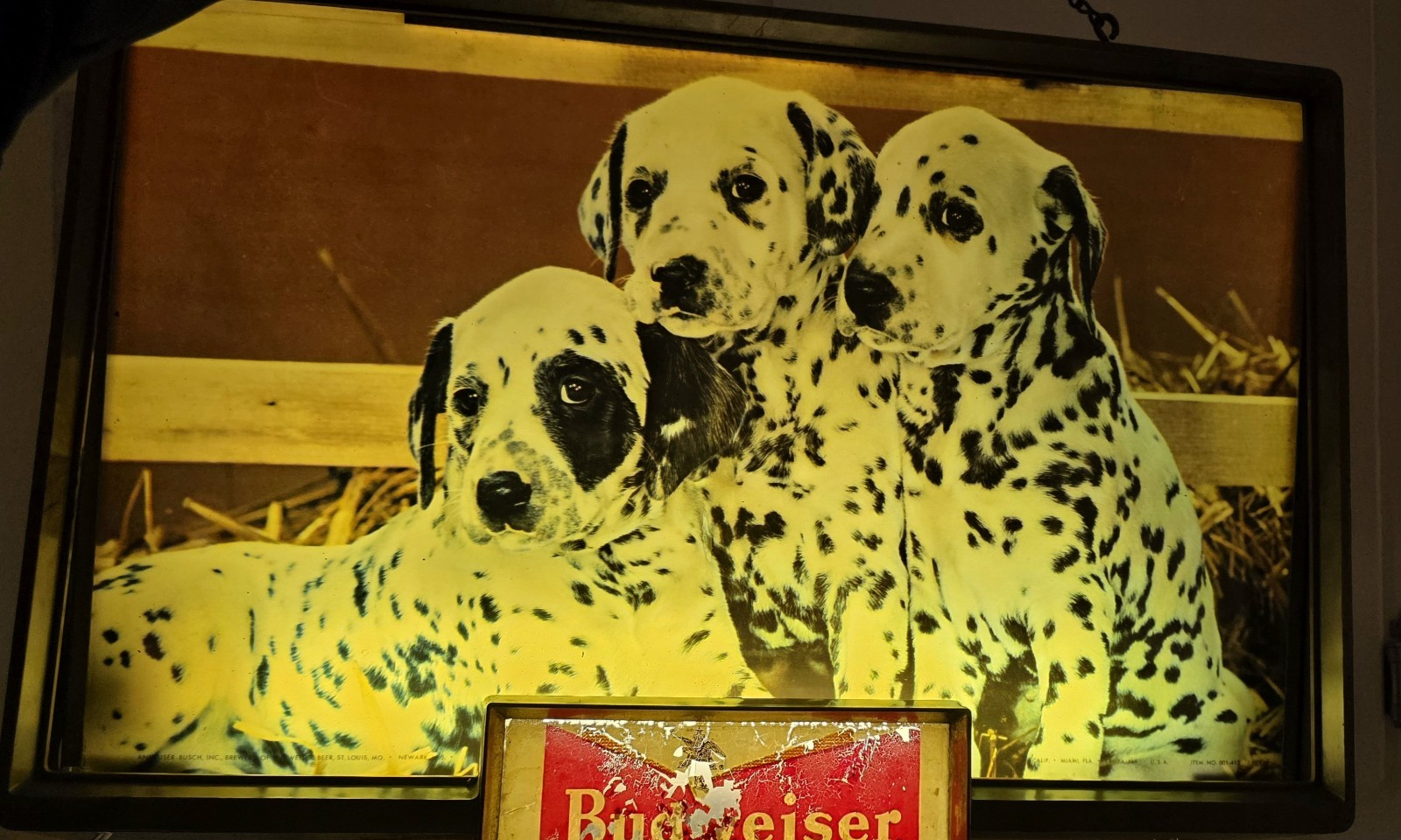 Vintage 1950s Budweiser Lighted Sign - Rare Dalmatian Puppies- WORKING Bar Light