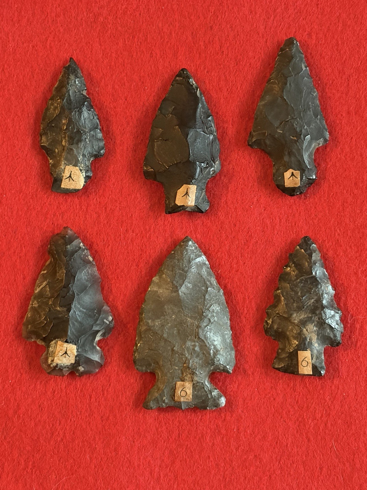 6 Associated POINTS  locale \