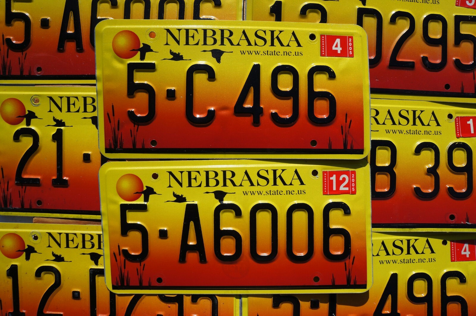ONE OR MORE Nebraska Sand Hill Cranes License Plate