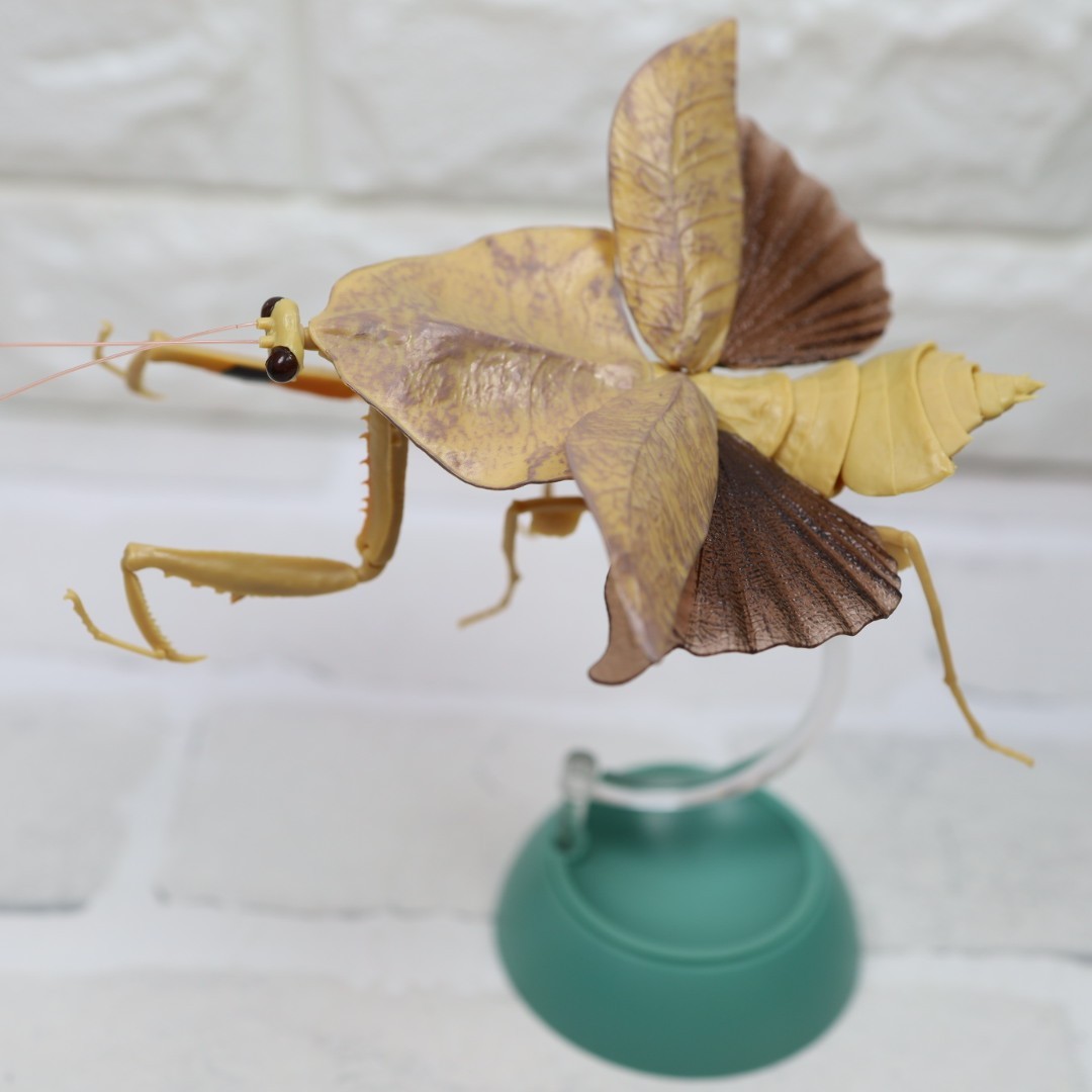 Praying Mantis Vol.2 Deroplatys Truncata(Light Brown) Figure BANDAI