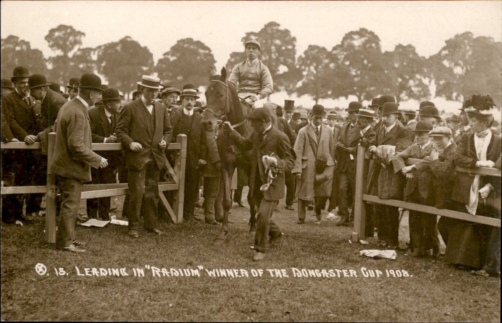Radium Horse Racing Winner Doncaster Cup 1908 c1900s-10s Real Photo Postcard