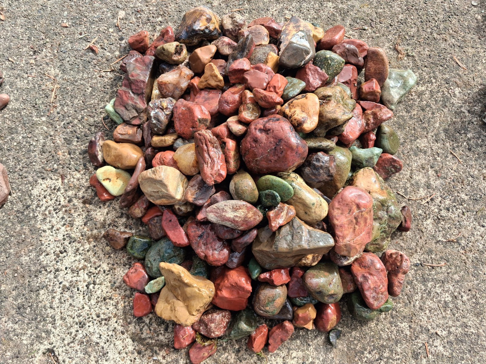 20 Lbs. Great Tumbler Size Rough Hi Grade Jasper From Willamette River, OR #WJ11