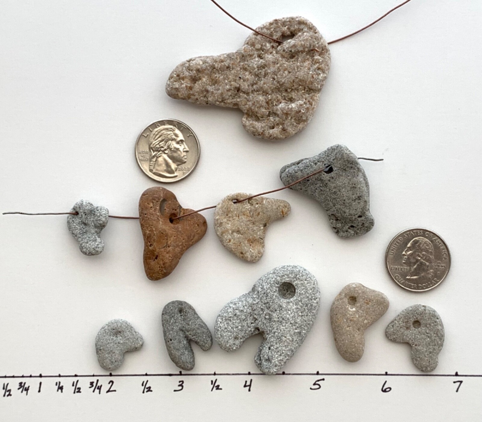 10 Bird Duck Head Beach Rocks Stone Natural Shaped Pebble mixed art craft hag US