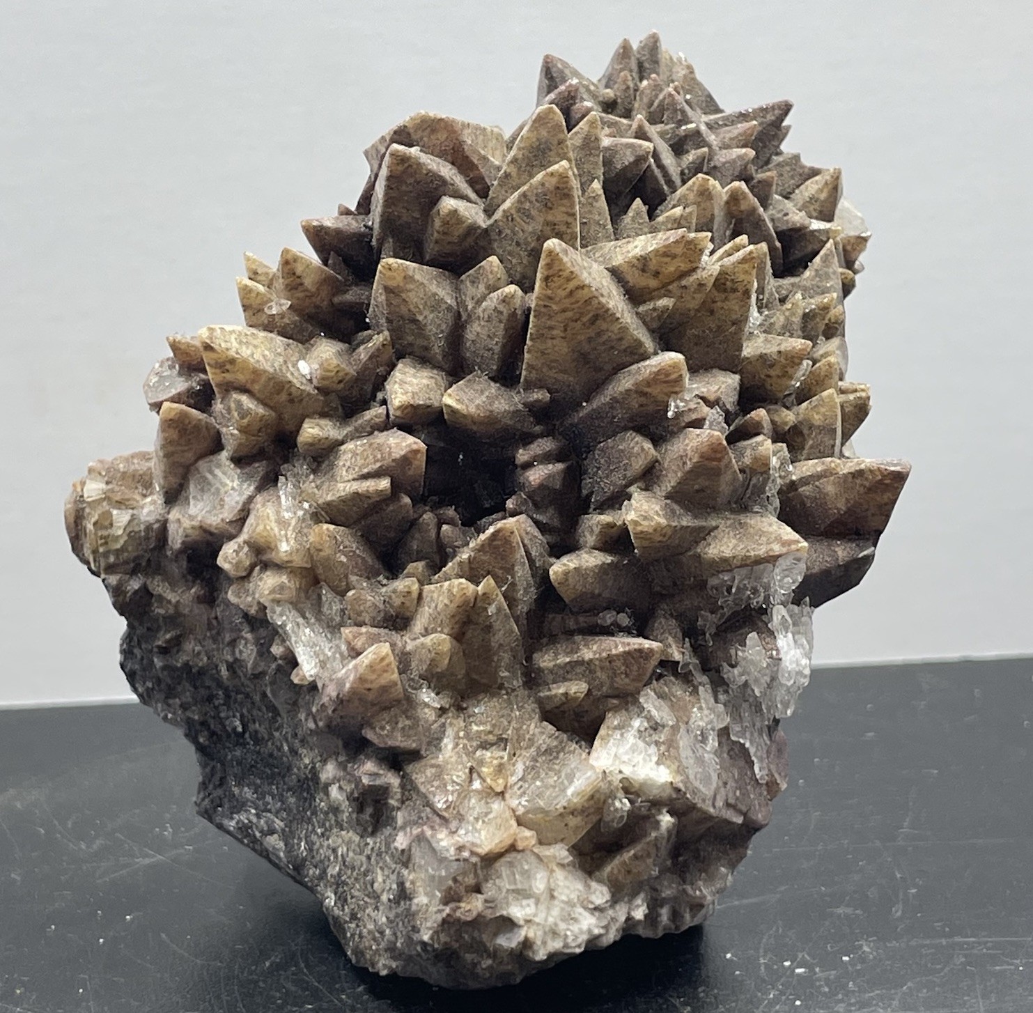 Chocolate Dogtooth Calcite Crystal Cluster Specimen 395g