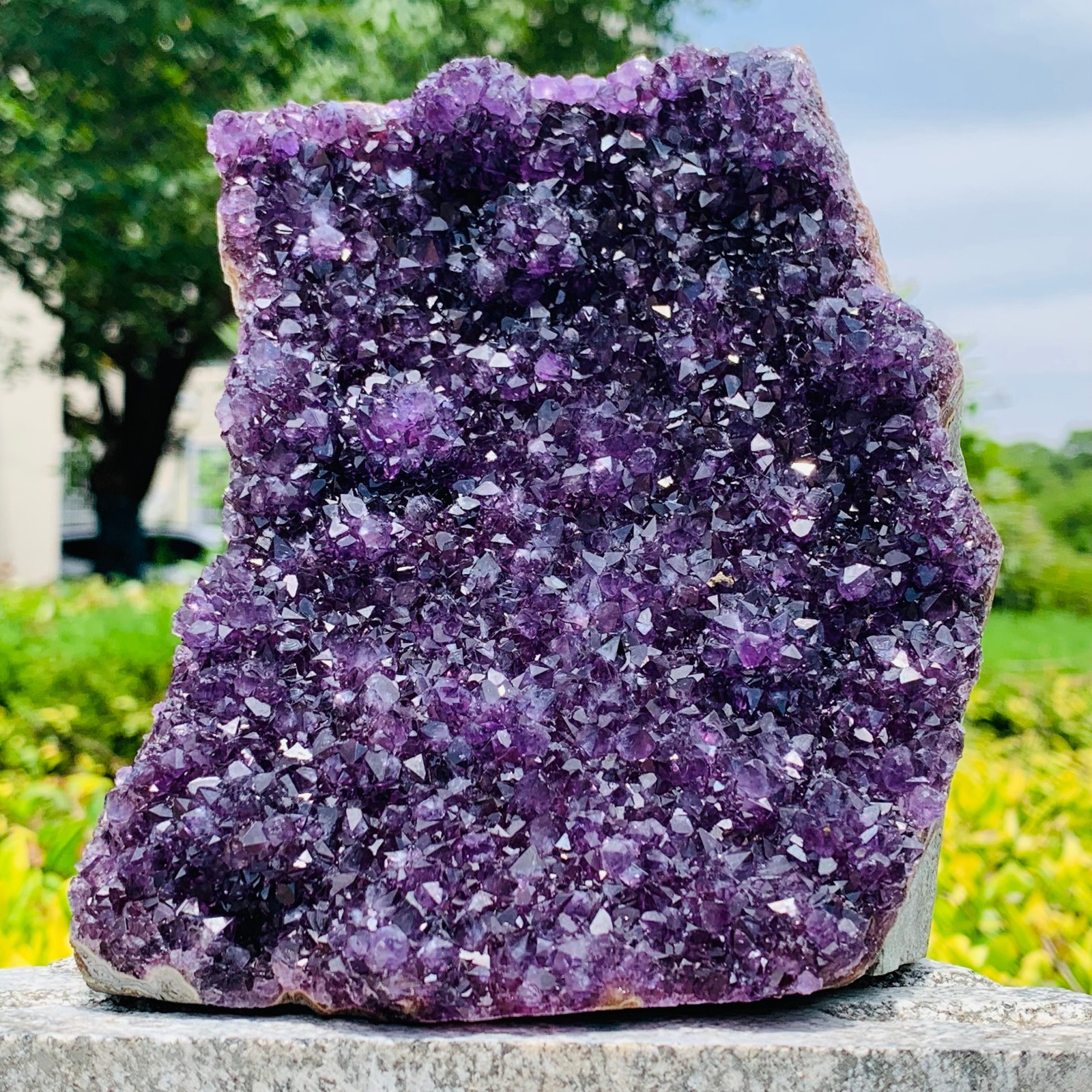 4.82LB High Quality Natural Amethyst quartz cluster crystal specimen Healing