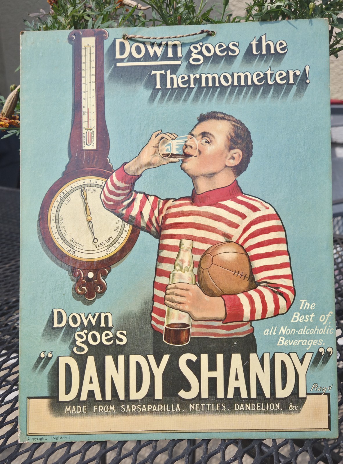 ANTIQUE/VINTAGE  1910 “DANDY SHANDY” SARSAPARILLA SODA CARDBOARD LITHOGRAPH SIGN