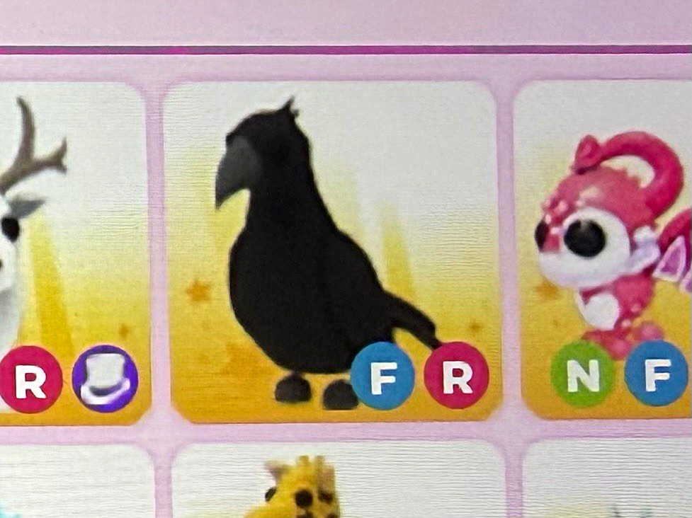 Adopt Me Fly Ride Crow Digital Game Item Asset (Flyable, Rideable)