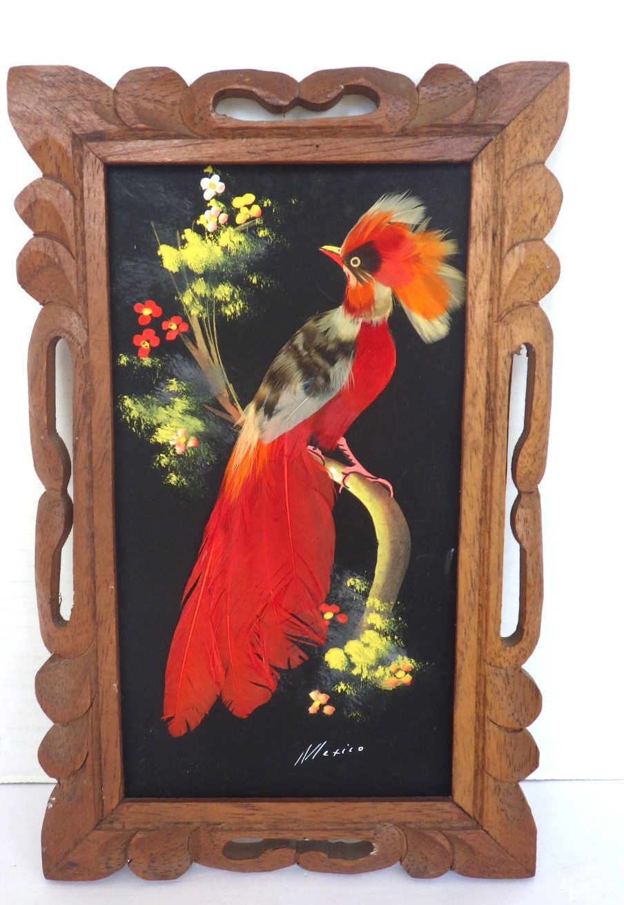 Vintage Folk Art Cartimex Feathercraft Hand Carved Cedar Framed Tropical Bird