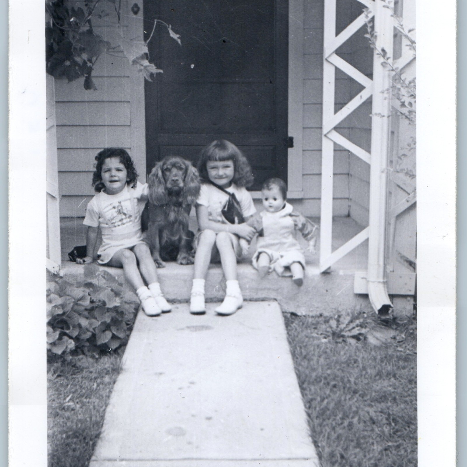 ID'd c1950s Deanna Cheryl Sisters Cocker Spaniel Dog Pal Doll Cute Vtg Snapshot