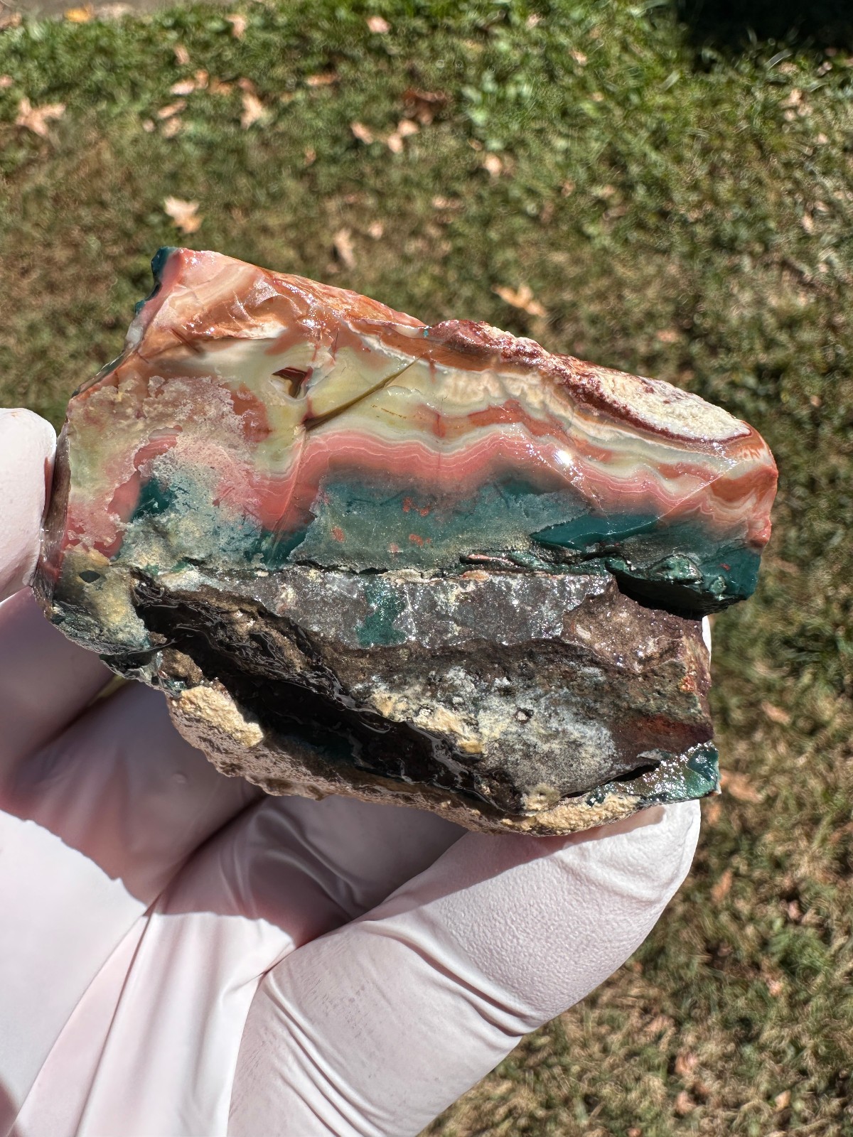 PREMIUM SPECIMEN__RARE Idaho Sunset Jasper / Agate Rough - Lemhi County, Idaho