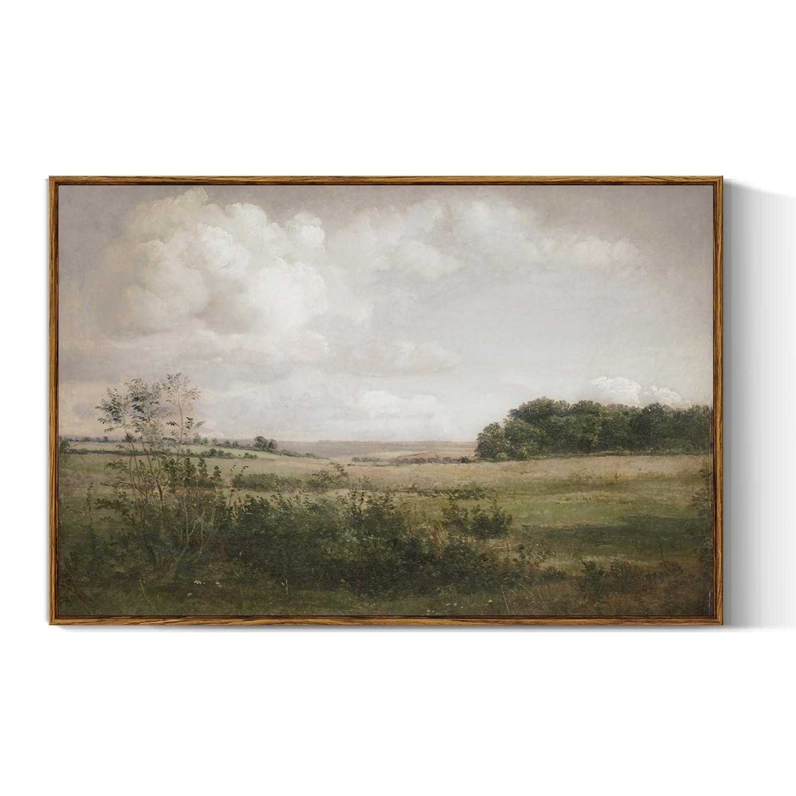 VIYYIEA Vintage Landscape Large Framed Wall Art, Nature Wilderness Scenery