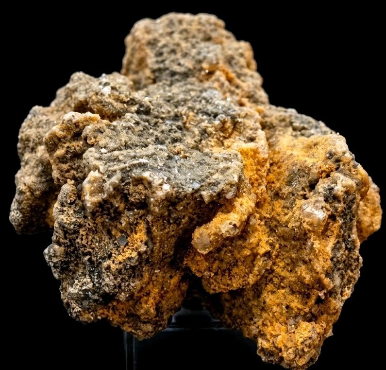 Natural Fossilized Coral / Rough Mineral Cluster Specimen – Druzy Quartz Matrix
